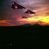 Antigravity Triangle UFOs Photo 142