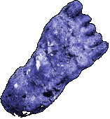 Report Bigfoot Sightings