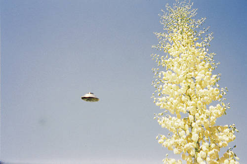UFO Photo 32