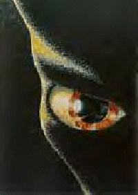 Walton UFO Being Eyes