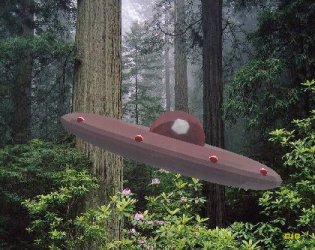 Kecksburg UFO Sightings